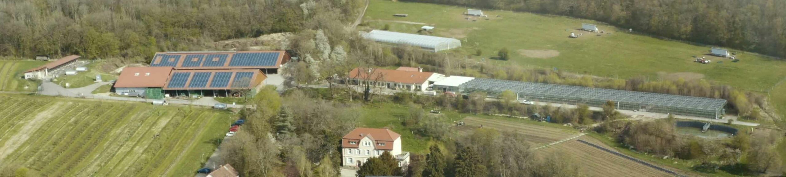 Der neue Webauftritt